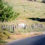 Image 0062
