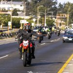 Image 0047