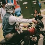 Image 0060
