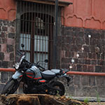 Image 0007