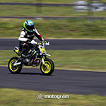 Image 0004