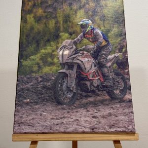 Ofertas Especiales Motogram