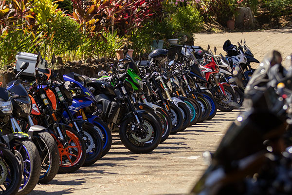 Ride Palo Santo, La Garita